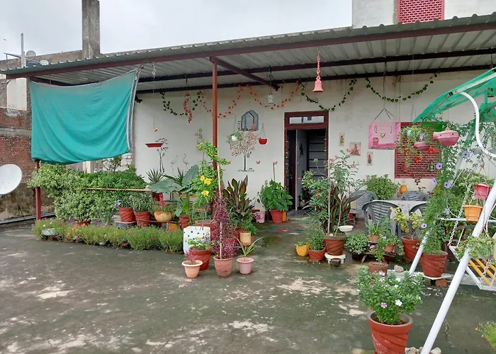 Jaipur Marigold Homestay