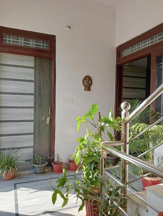 Homestay Marigold