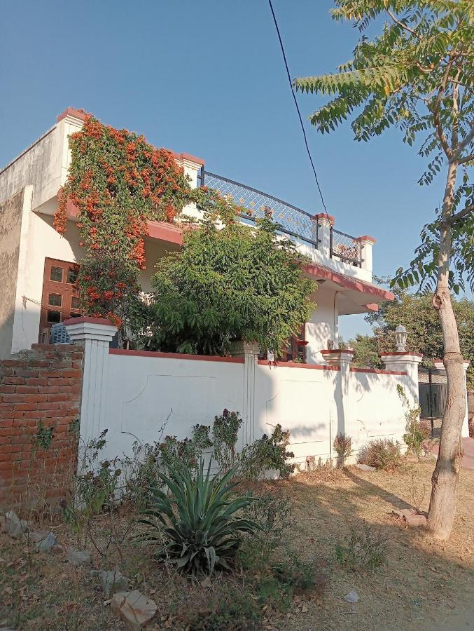 Marigold Homestay Jaipur