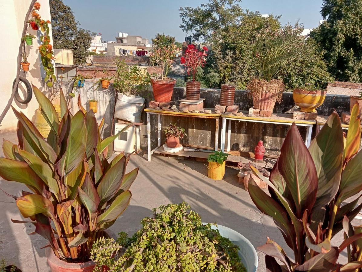 Homestay Marigold