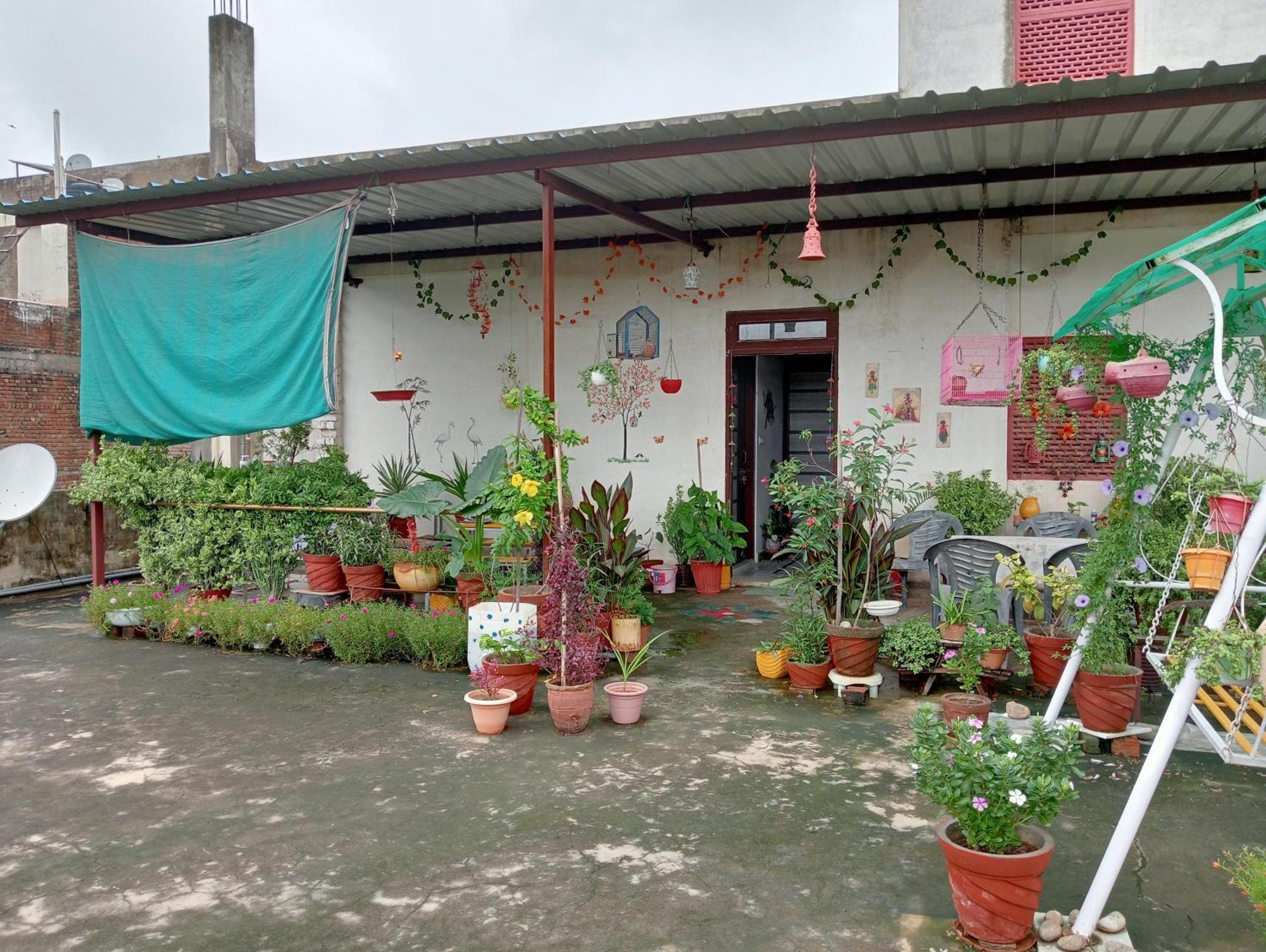 Marigold Homestay Jaipur