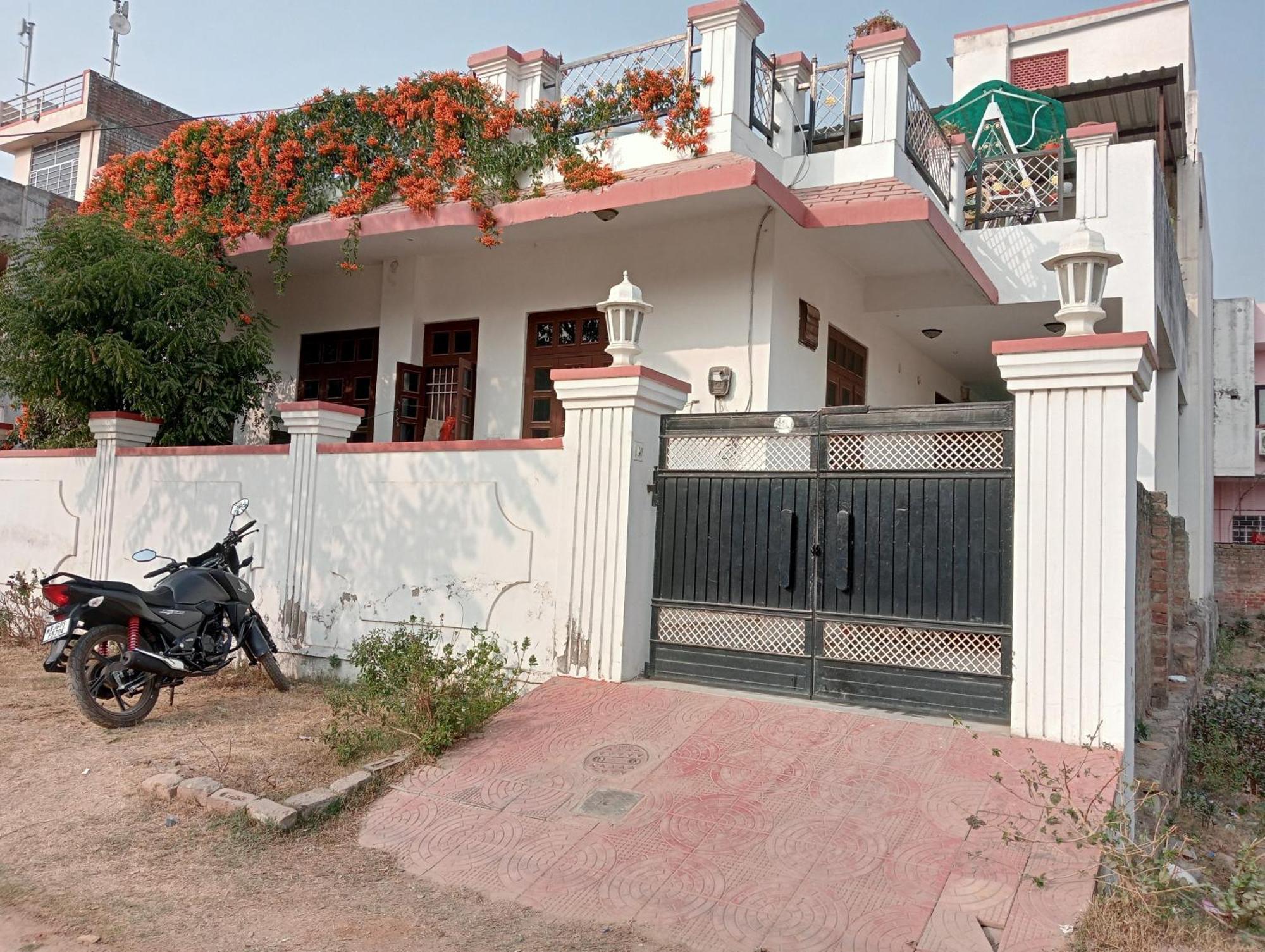 Marigold * Jaipur
